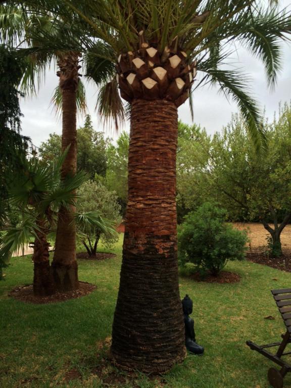 Jardi De Papallones 포엔샤 외부 사진